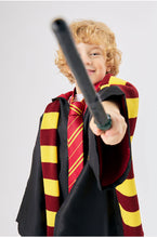 Load image into Gallery viewer, I am a wizard costume cloak (Released on 10/13)