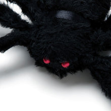 Load image into Gallery viewer, Bat Boy' Halloween Costume (Mask and Spider Set)
