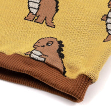 将图片加载到图库查看器，boys mustard knit
