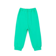 将图片加载到图库查看器，boys mint colored pants
