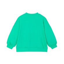 将图片加载到图库查看器，boys mint colored sweatshirt
