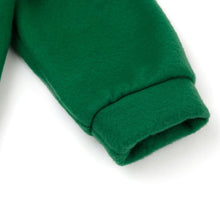 将图片加载到图库查看器，green dinosaur halloween costume
