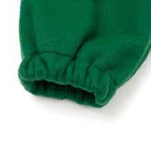 将图片加载到图库查看器，green dinosaur halloween costume
