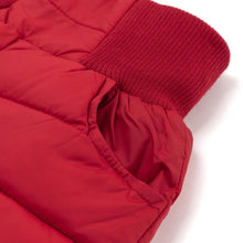 Load image into Gallery viewer, kids red padded pants
